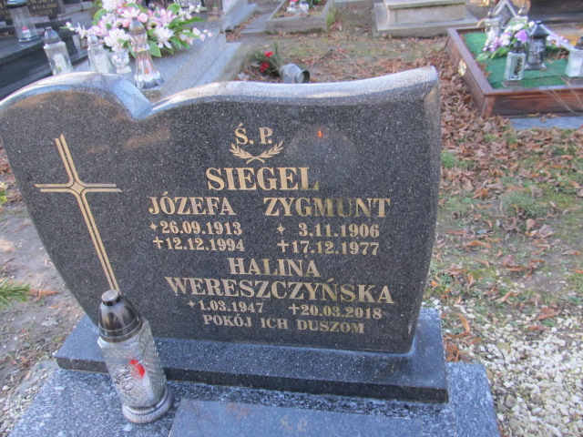 Zygmunt Siegel 1906 Paczków - Grobonet - Wyszukiwarka osób pochowanych