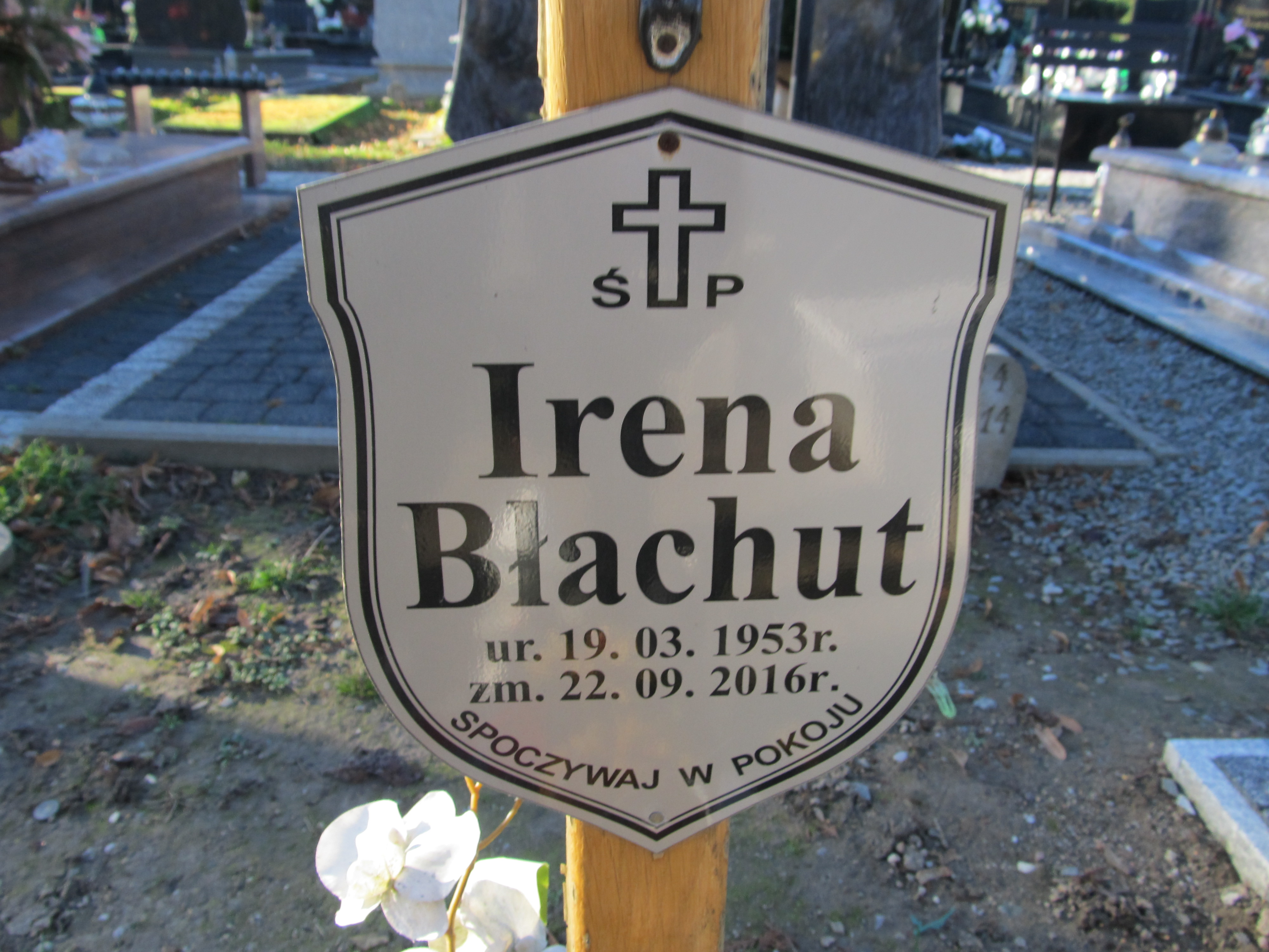 Irena Błachut 1953 Paczków - Grobonet - Wyszukiwarka osób pochowanych
