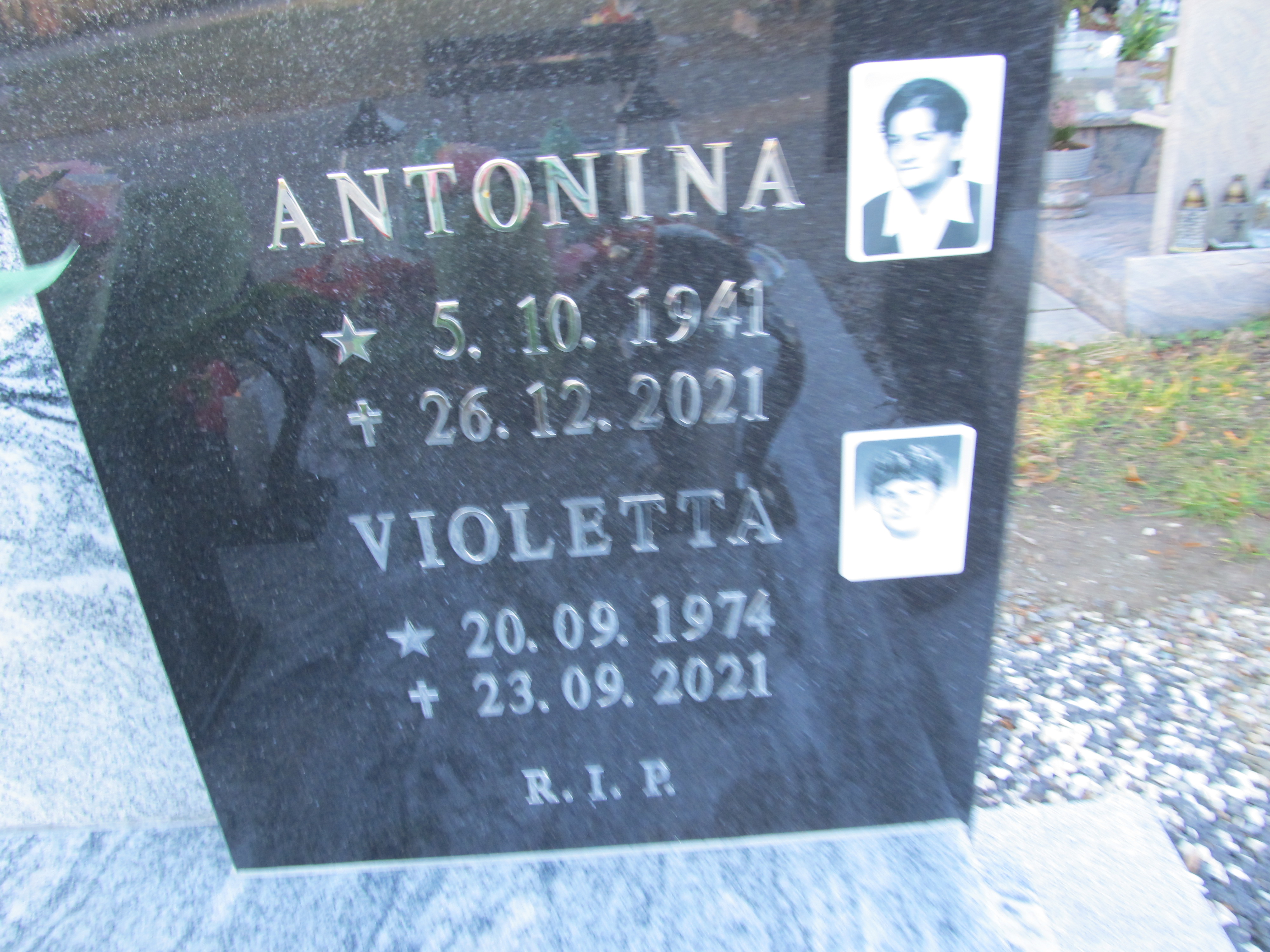 Violetta Wolny 1974 Paczków - Grobonet - Wyszukiwarka osób pochowanych
