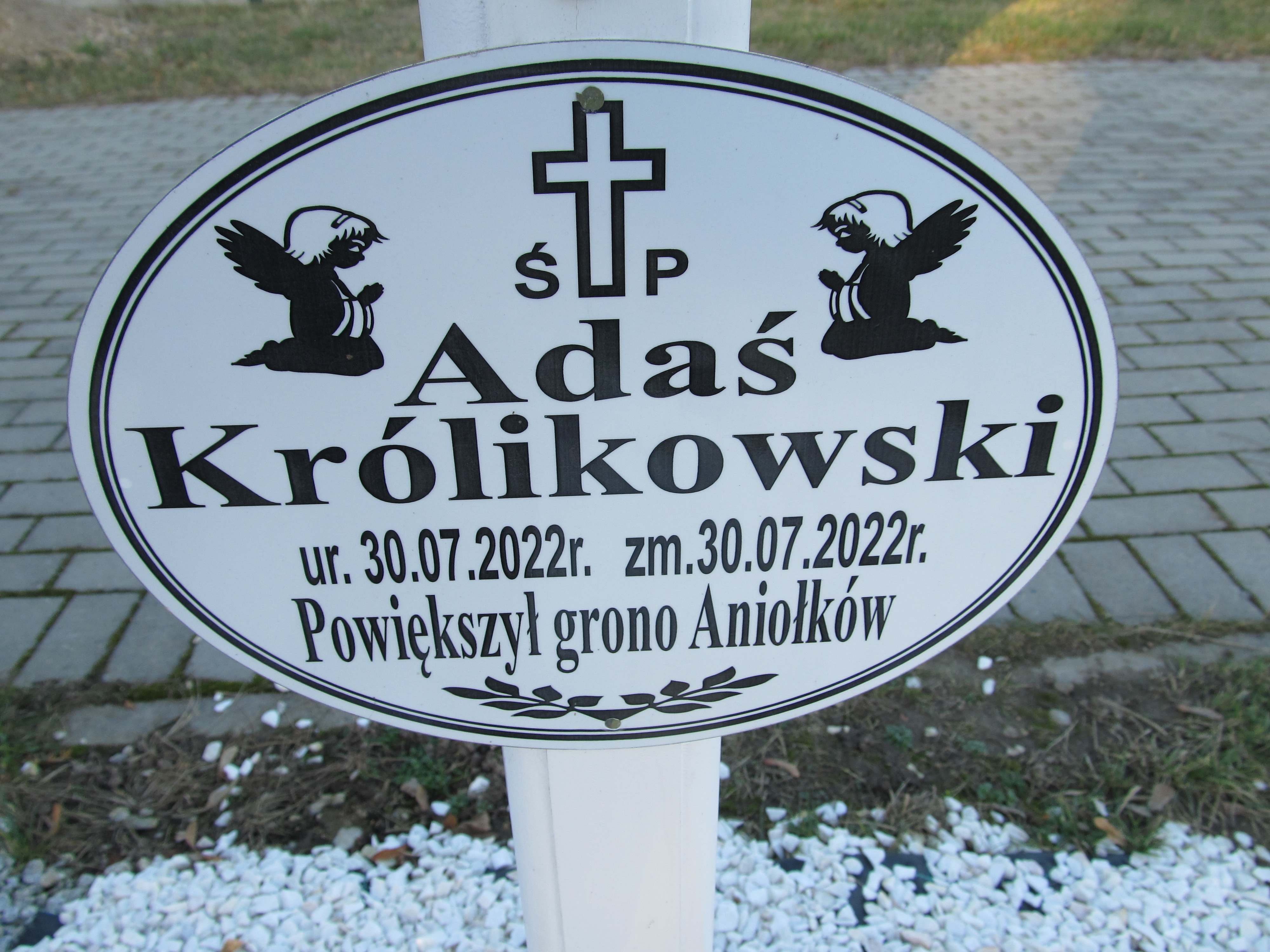 Adam Królikowski 2022 Paczków - Grobonet - Wyszukiwarka osób pochowanych